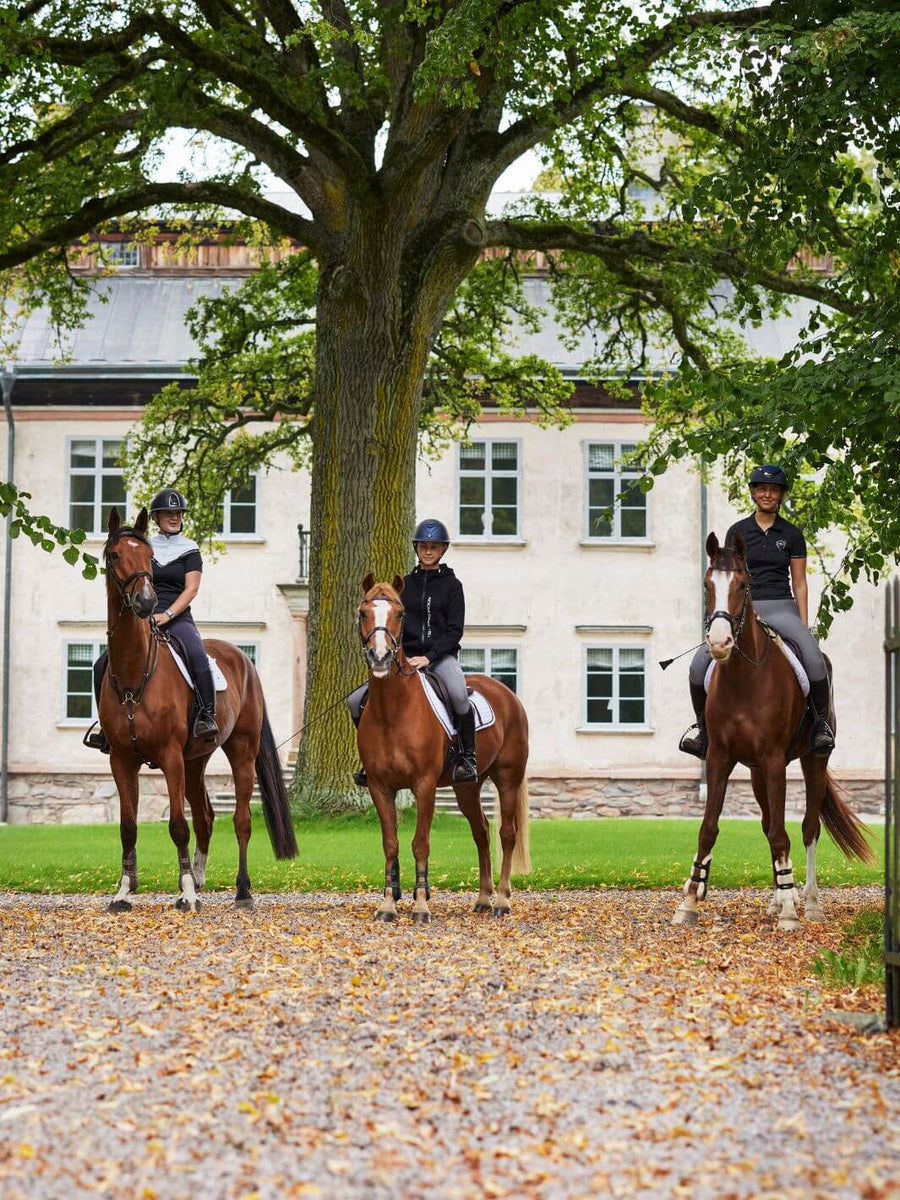 tres jinetes con elegantes prendas de equitación montan a caballo, cada uno en su caballo marrón, frente a una hermosa mansión