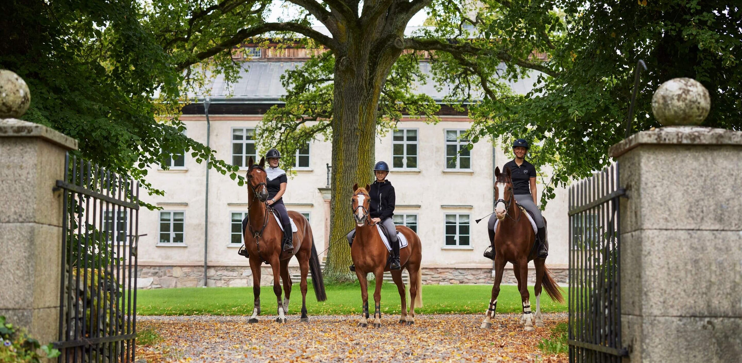 tres jinetes con elegantes prendas de equitación montan a caballo, cada uno en su caballo marrón, frente a una hermosa mansión